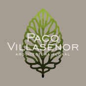 Paco Villaseñor Arq Floral